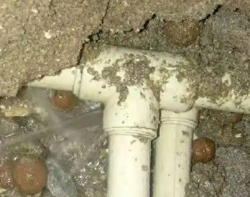 鹤峰测漏水多少钱