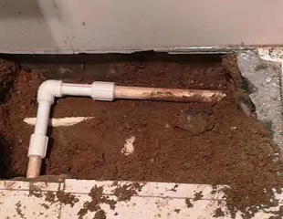 鹤峰测漏水哪家好