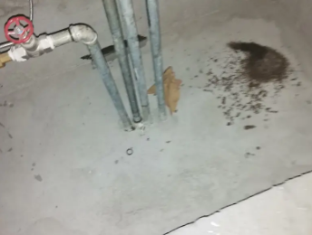 鹤峰卫生间测漏水价格明细