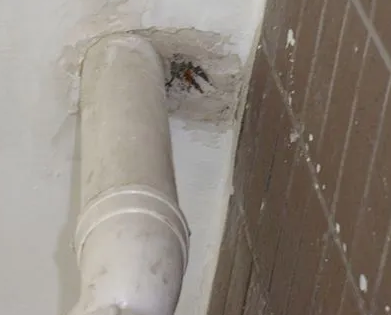 鹤峰漏水检测哪家好